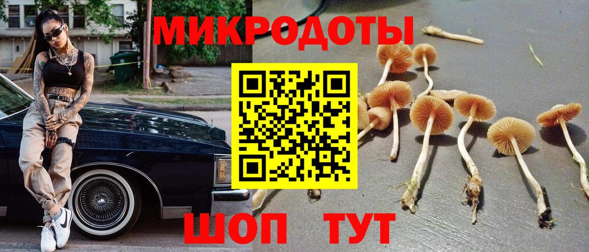 Сегежа  Галлюциногенные грибы мицелий  Вход с VPN  Галлюциногенные грибы Cubensis 